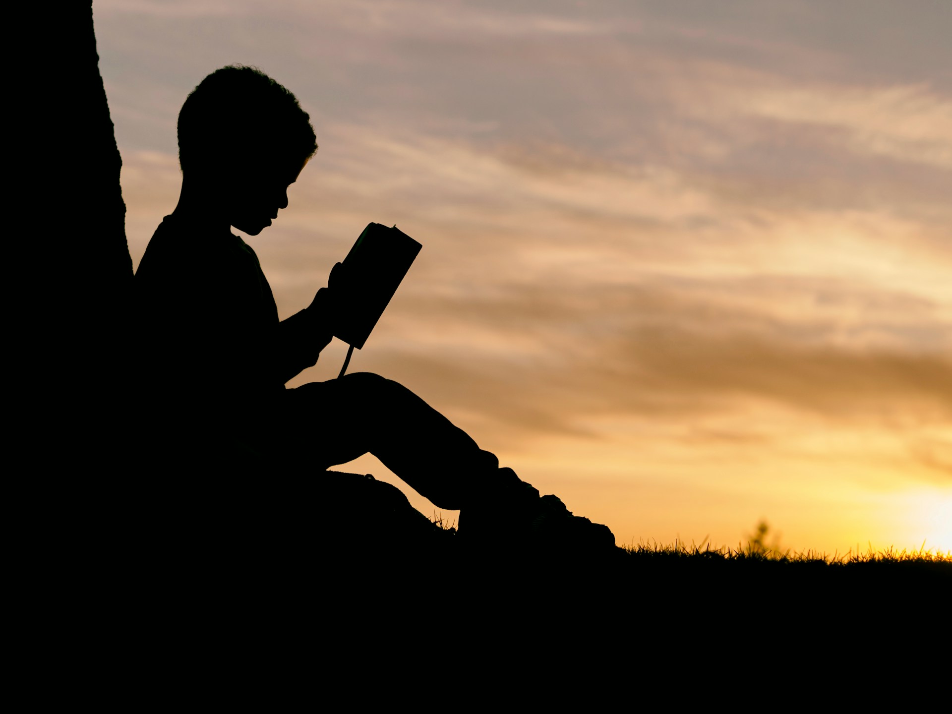 silhouette-of-child-sitting-behind-tree-during-sunset
